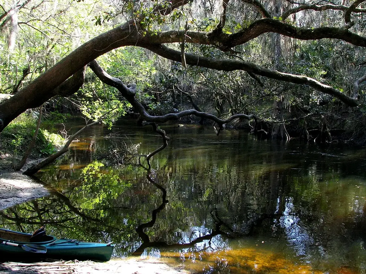 Alafia River east of Riverview, near Lithia Springs Park