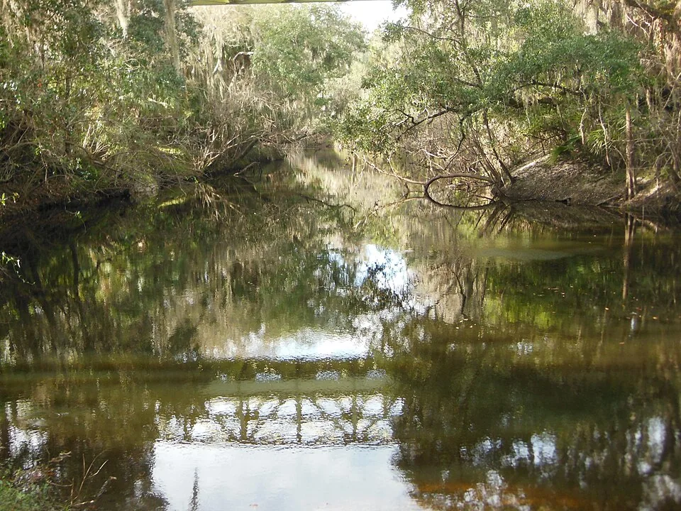 Alafia River at FishHawk